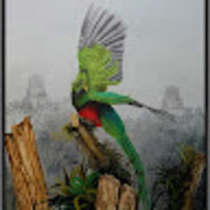 Meet your Posher, Fredy